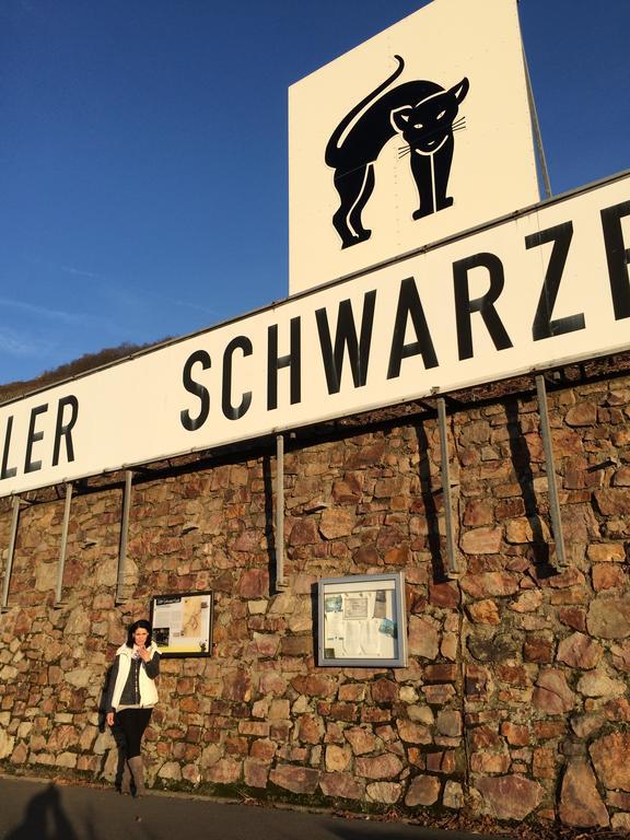 Gaestehaus Am Roemerbad Zell an der Mosel Kültér fotó